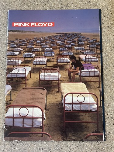 Pink floyd momentary lapse - pink,